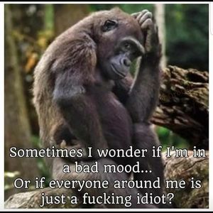 Meet your Posher, Ed